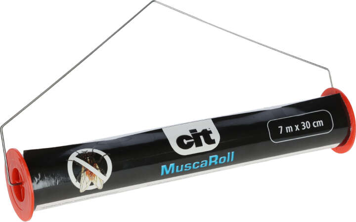 cit Fliegenrolle MuscaRoll
